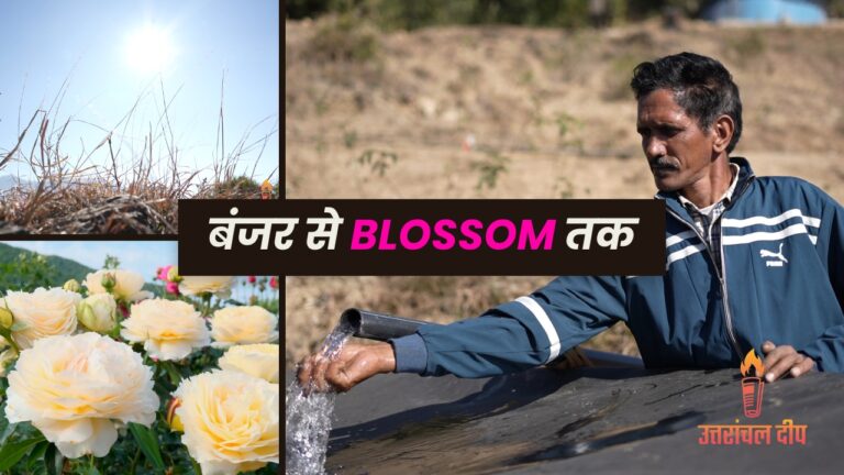 Lalit Mohan’s Rose Farming Success Story in Uttarakhand