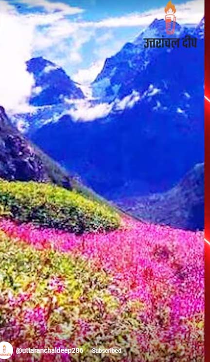 Valley of Flowers: A Natural Marvel in Uttarakhand