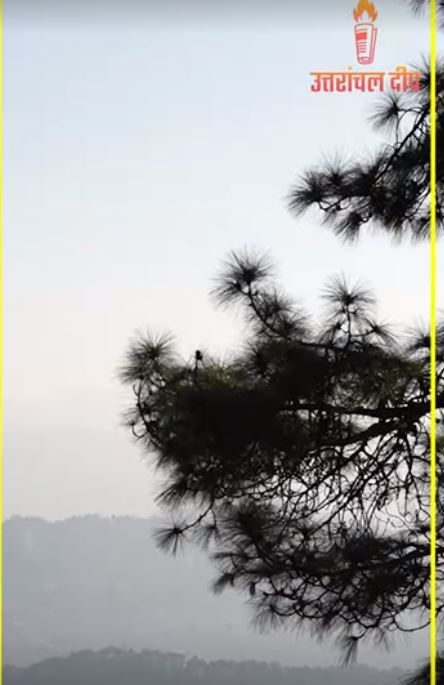 कसार देवी मंदिर : अद्भुत-अलौकिक व अविस्मरणीय