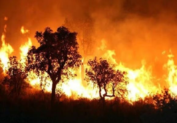 जंगल की आग रानीखेत में सैन्य अस्पताल तक पहुंची