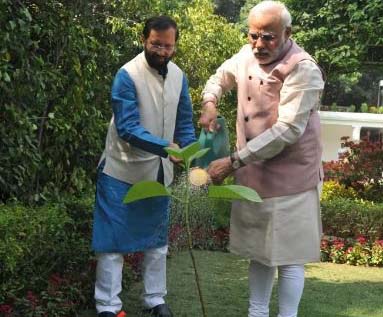विश्व पर्यावरण दिवस पर पीएम मोदी ने की वृक्षारोपण अभियान की शुरुआत