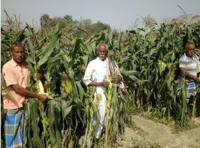 कृषि क्षेत्र में 25 करोड़ को मिला रोजगार, 17 साल में सर्वाधिक