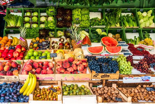 फलों की उत्पादकता बढ़ाने के लिए 17,66 करोड़ की परियोजना