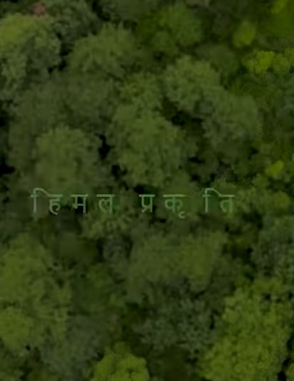 हिमल प्रकृति : A Real-Life Example of #environmental Success in #munsiyari