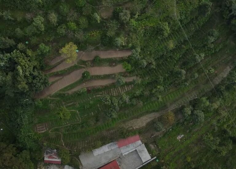 कमाल कुछ पहाड़ी महिलाओं का #HimalayanHaat ……….