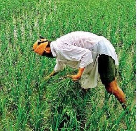 किसानों की बल्ले-बल्ले, अब UPI से सीधे मिलेगा लाखों का लोन