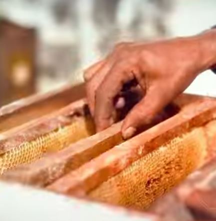 #uttaranchaldeep : One Year Journey …..