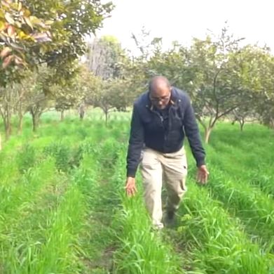 Unique Farmstay : ओमान से लौटे हेमांशु जोशी की कहानी …