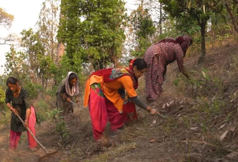 उत्तराखंड की वन पंचायतें l हर्बल मिशन l उत्तराखंड