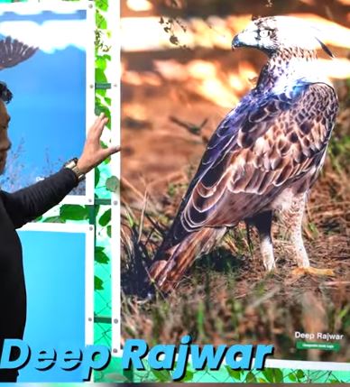 Deep Rajwar l Wild Life Photographer l Jim Corbett