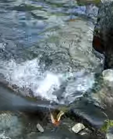 सामूहिक प्रयास की अनोखी मिसाल l Bhalugaad Waterfall