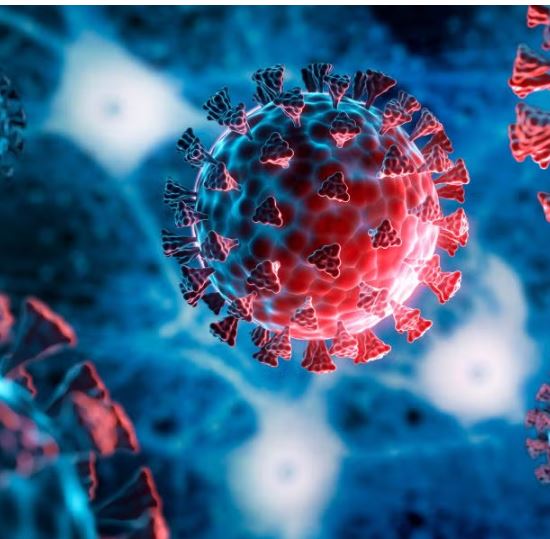 भारतीय वैज्ञानिकों ने खोजा कोरोना की रीढ़ तोड़ने वाला फार्मूला