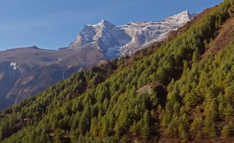 गौरा देवी की असली कहानी | चिपको आंदोलन की नायिका