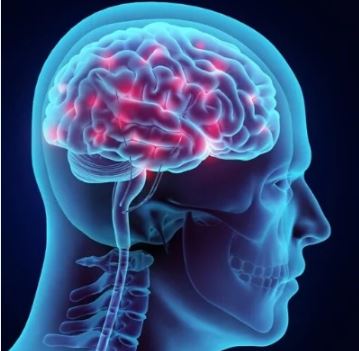 सिर्फ दो मिनट में मस्तिष्क में रक्तस्राव का पता लगाएगा ‘सेरेबो’