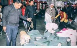 दिल्ली धमाके के बाद उत्तराखंड में अलर्ट, सीमाओं पर कड़ी चौकसी; डॉग स्क्वॉड और बम निरोधक दस्ता भी तैनात