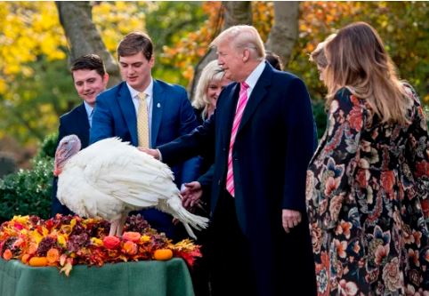 वार्षिक थैंक्सगिविंग पर ट्रंप ने टर्की को दी ‘माफी’