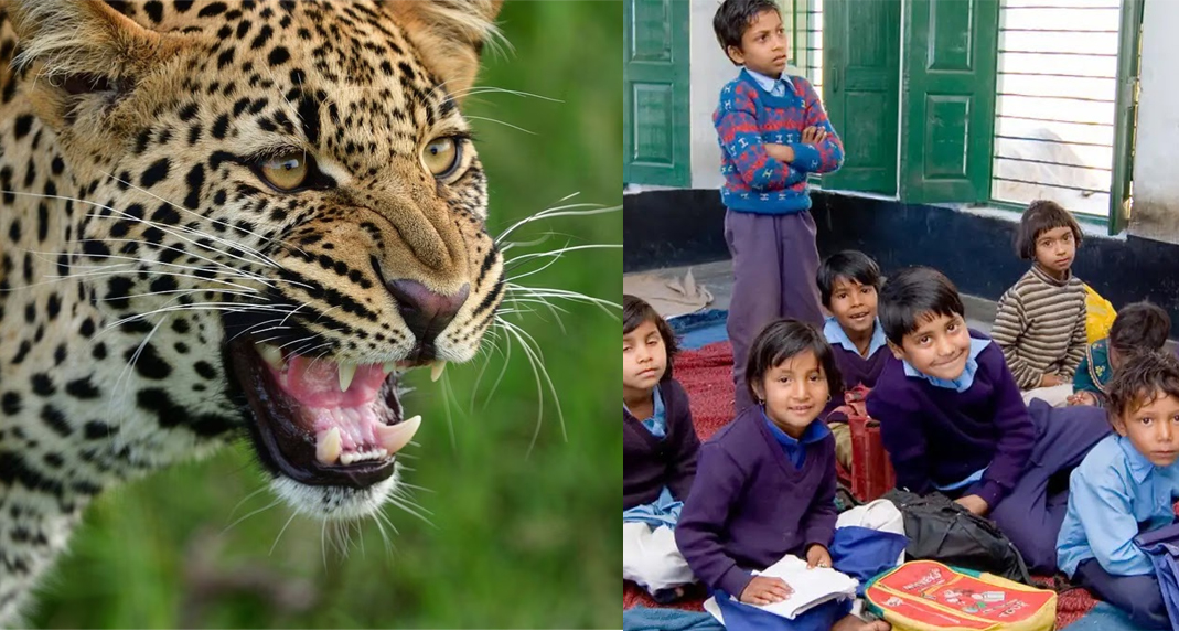 उत्तराखंड में गुलदार का डर, स्कूल की टाइमिंग बदली