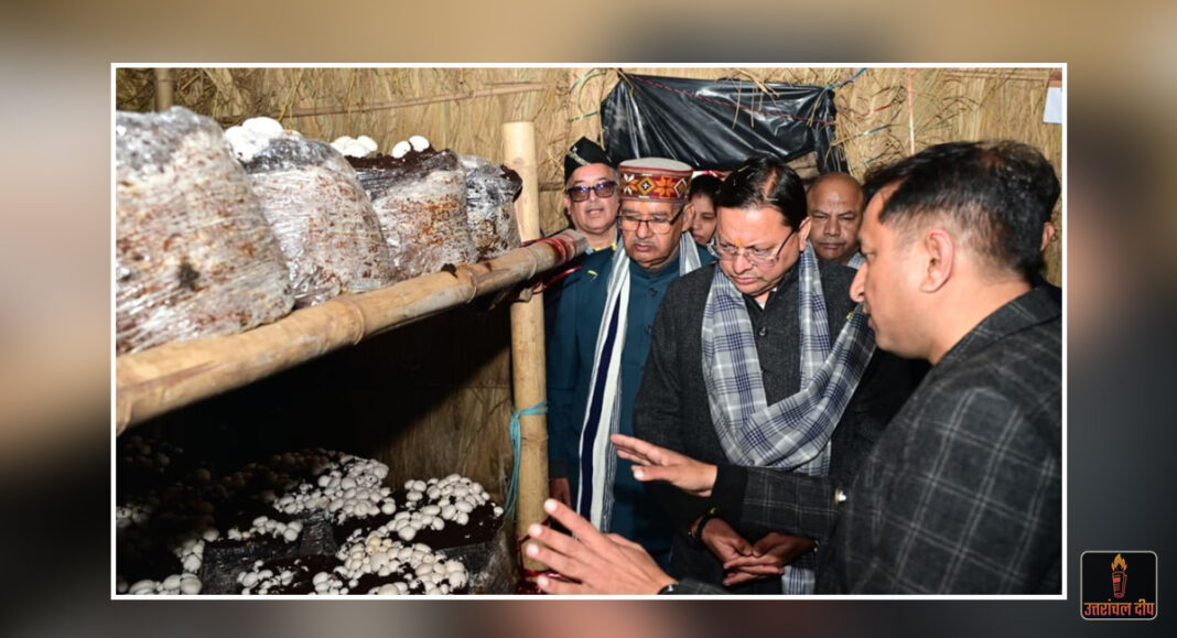 सीएम धामी की नई पहल: हरिद्वार के बुग्गावाला में ‘मशरूम ग्राम’ का शुभारंभ, किसानों की आर्थिक उन्नति का बनेगा आधार