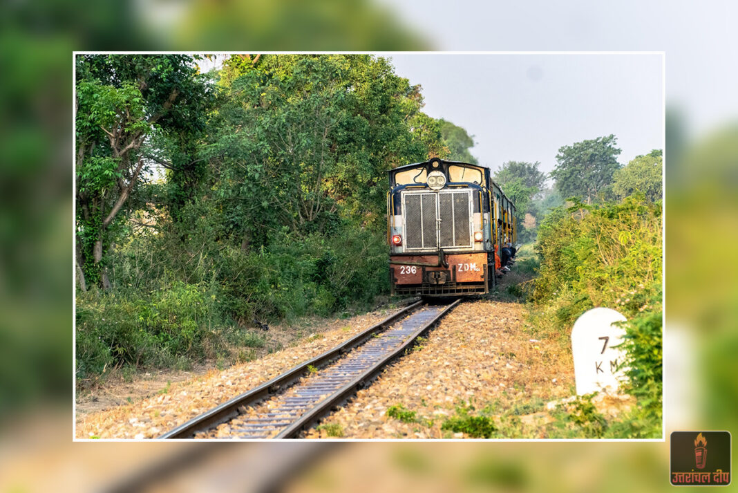 रेलवे ग्रुप डी भर्ती 2025: 22,000 पदों पर बंपर बहाली, युवाओं के लिए सुनहरा अवसर