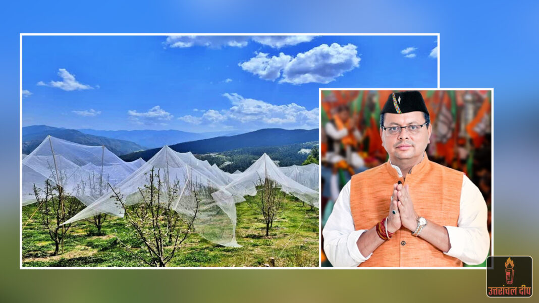 उत्तराखंड के बागवानों की हुई ‘चांदी’: एंटीहेल नेट पर अब मिलेगी 75 फीसदी सब्सिडी; धामी सरकार ने योजना को दी मंजूरी, ओलावृष्टि से सुरक्षित होंगी फसलें