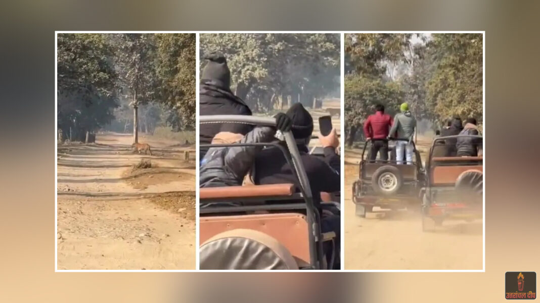 कान्हा के जंगल में बाघ के साथ ‘खतरनाक खेल’: पर्यटकों ने पीछे दौड़ाई जिप्सी, वीडियो वायरल होने पर गाइड और चालक पर गिरी गाज