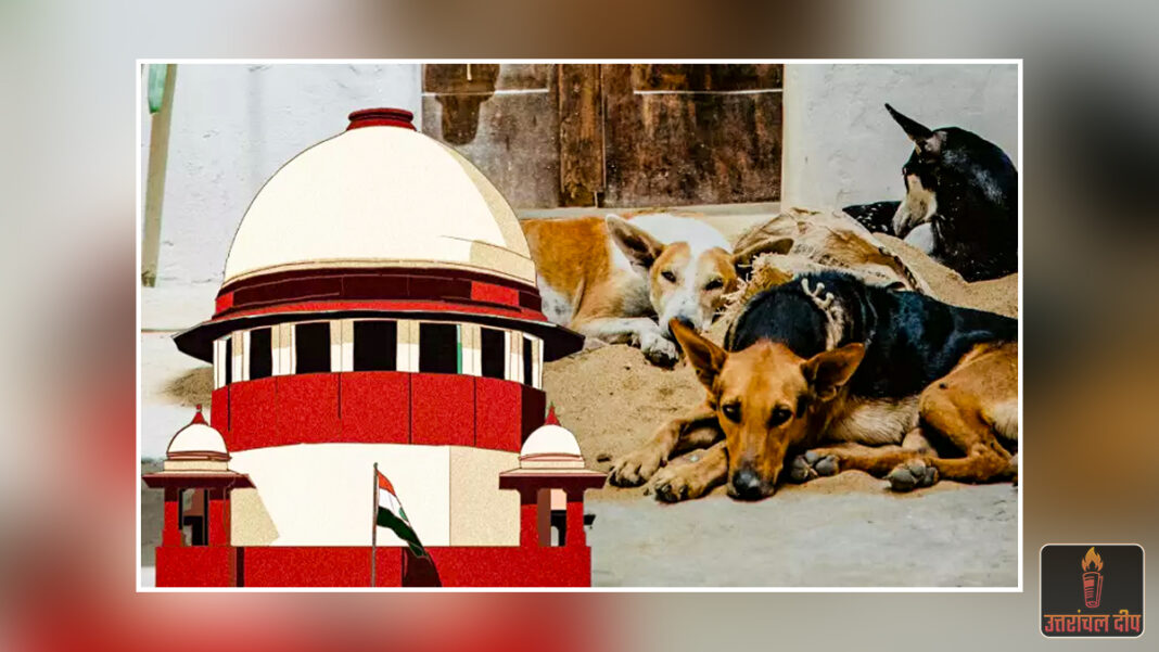 सुप्रीम कोर्ट का ऐतिहासिक फैसला: आवारा कुत्ते ने काटा तो राज्य सरकार भरेगी हर्जाना; कोर्ट ने कहा- ‘नागरिकों की सुरक्षा प्रशासन की जिम्मेदारी’