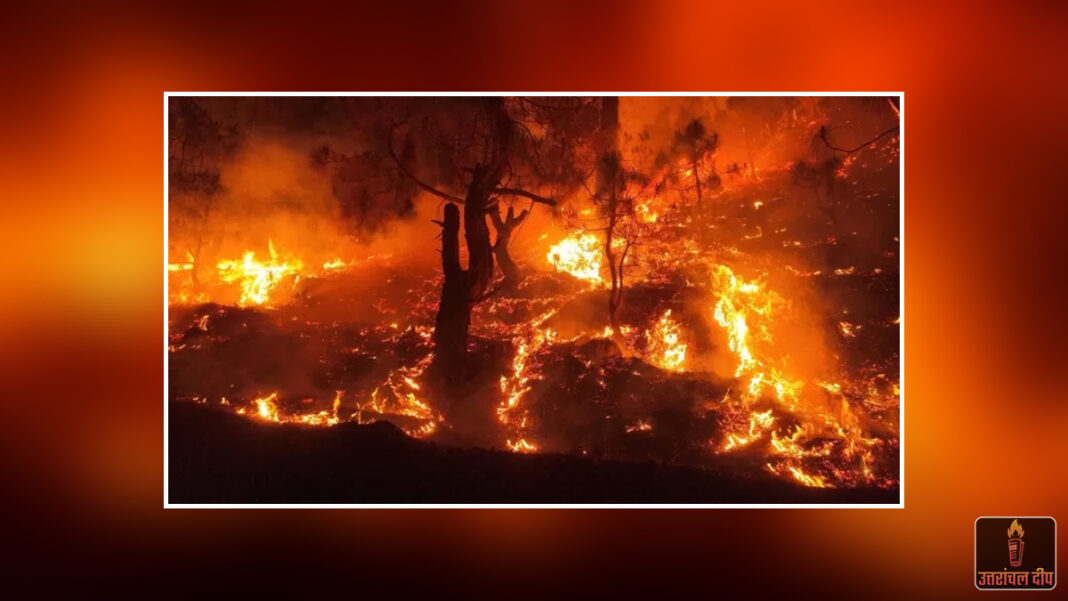उत्तराखंड में ‘फायर सीजन’ से पहले ही भड़की वनाग्नि: 42 हेक्टेयर जंगल जलकर राख; 56 स्थानों पर सामने आए आग के मामले