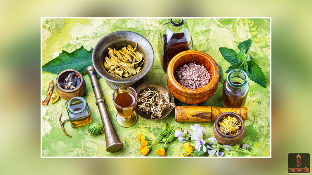 शिक्षा के क्षेत्र में मध्य प्रदेश का नया कीर्तिमान: यूनानी चिकित्सा की हिंदी में पढ़ाई कराने वाला देश का पहला राज्य बनेगा; पाठ्यक्रम और किताबें तैयार