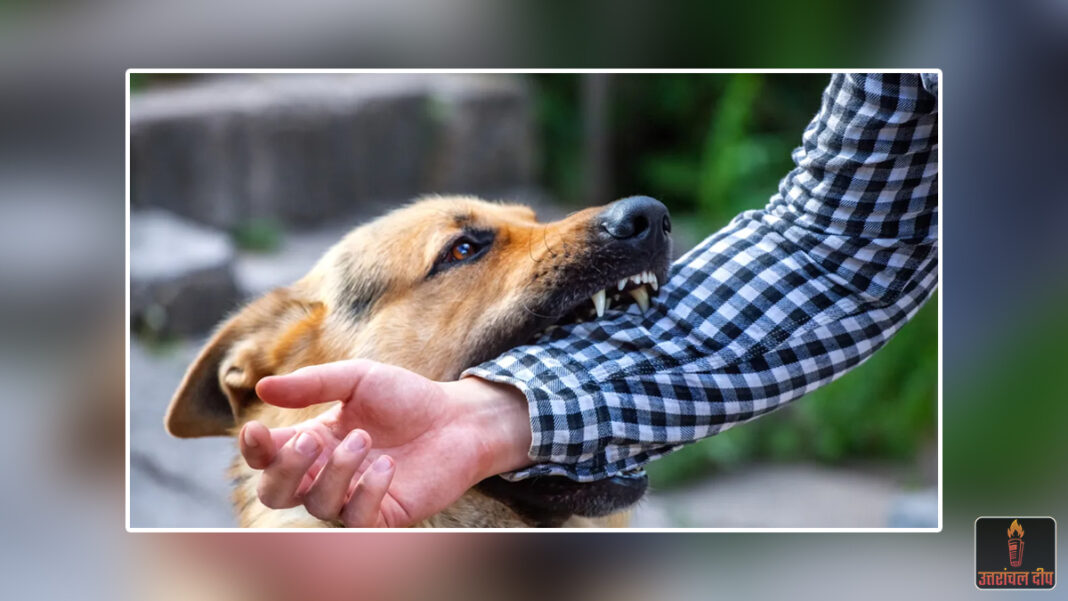 खौफ की जानलेवा इंतहा: डॉग बाइट के बाद युवक ने की खुदकुशी; डॉक्टरों ने बताया मेडिकल फैक्ट— “10 दिन में कुत्ता नहीं मरा, तो रेबीज का खतरा नहीं”