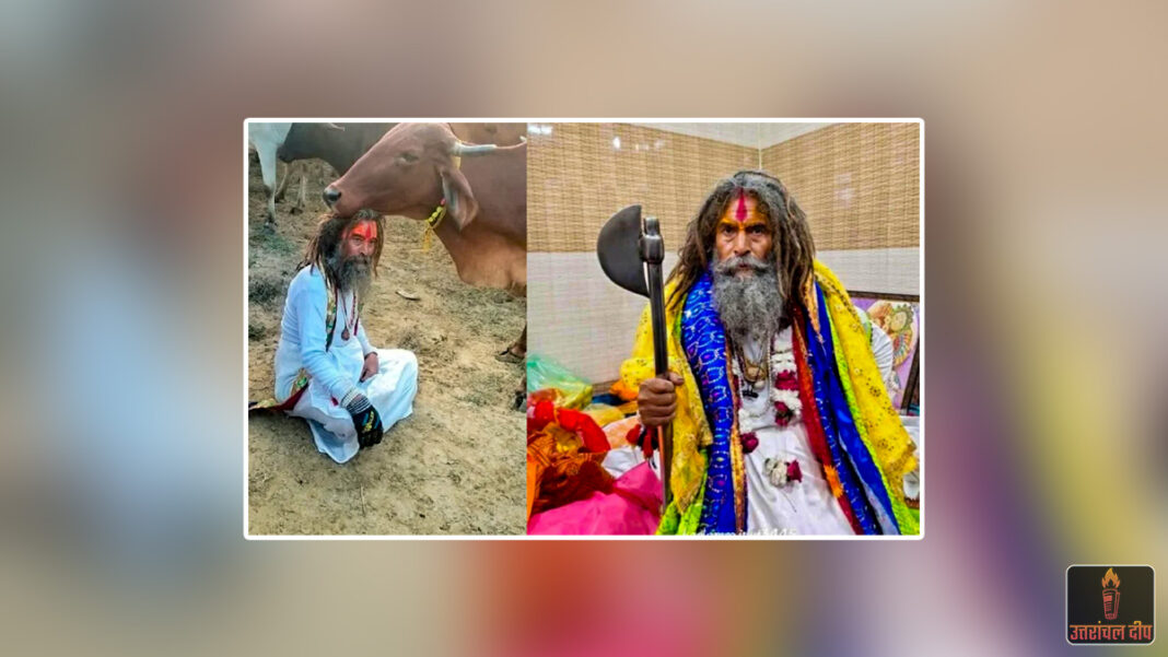 मथुरा में भीषण बवाल: ‘फरसा वाले बाबा’ की मौत पर भड़की हिंसा, पुलिस ने भांजी लाठियां; तनावपूर्ण हालात के बीच सेना तैनात मथुरा में भीषण बवाल: ‘फरसा वाले बाबा’ की मौत पर भड़की हिंसा, पुलिस ने भांजी लाठियां; तनावपूर्ण हालात के बीच सेना तैनात