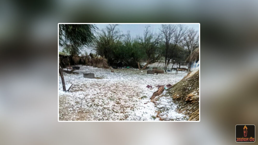 कुदरत की मार से किसानों के चेहरे पर छाई मायूसी: उत्तराखंड में असमय वर्षा और ओलावृष्टि से फसलों को भारी नुकसान कुदरत की मार से किसानों के चेहरे पर छाई मायूसी: उत्तराखंड में असमय वर्षा और ओलावृष्टि से फसलों को भारी नुकसान