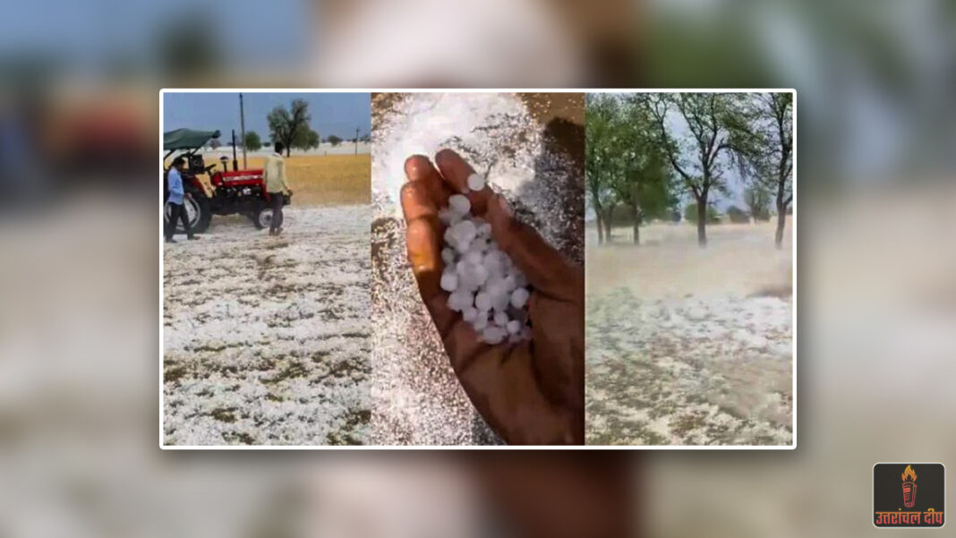 पश्चिमी विक्षोभ ने बढ़ाई राजस्थान के किसानों की मुसीबत: खेतों में ओले की सफेद चादर, फसलें हुईं बर्बाद पश्चिमी विक्षोभ ने बढ़ाई राजस्थान के किसानों की मुसीबत: खेतों में ओले की सफेद चादर, फसलें हुईं बर्बाद