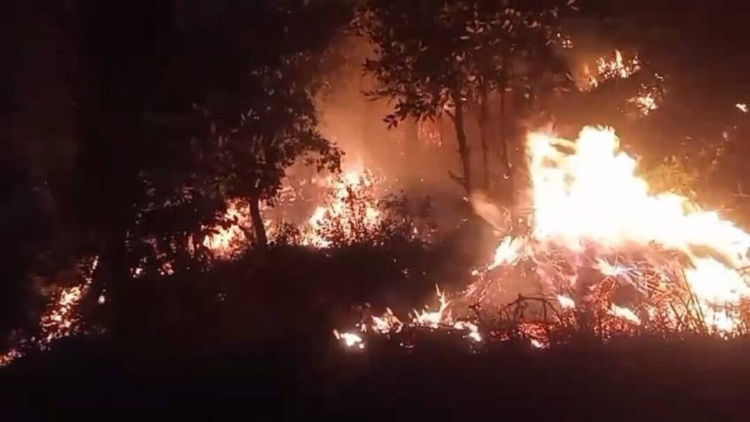 बद्रीनाथ हाईवे पर जंगल की आग बुझाते समय फायर वॉचर गिरकर घायल, मौत बद्रीनाथ हाईवे पर जंगल की आग बुझाते समय फायर वॉचर गिरकर घायल, मौत