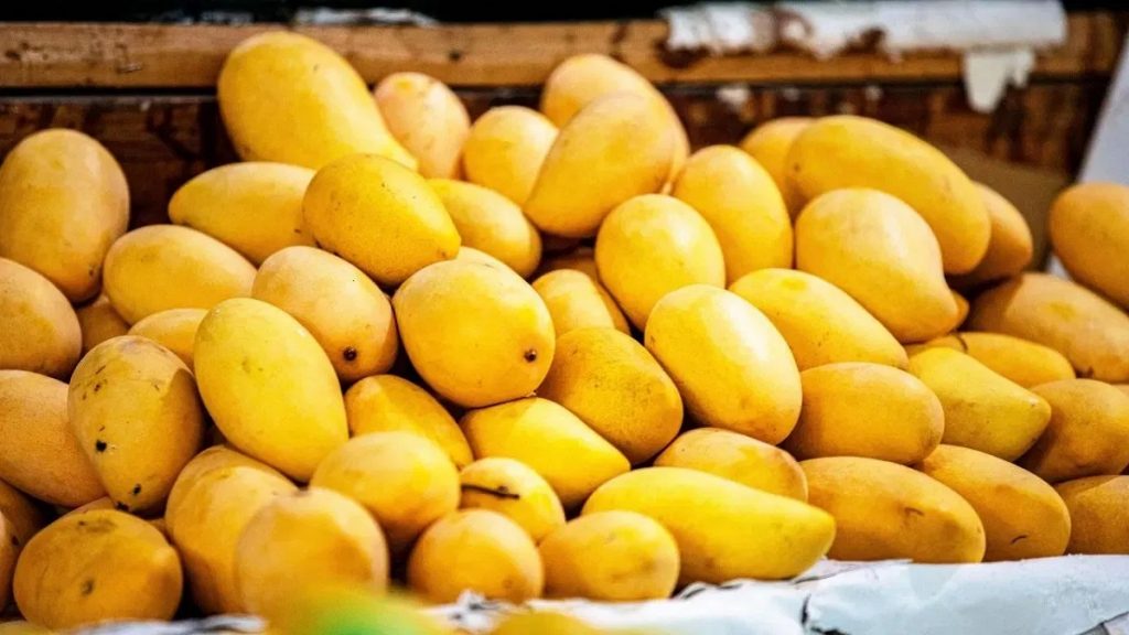 नेपाल द्वारा आम आयात पर प्रतिबंध की खबर का भारत ने किया खंडन, व्यापार सामान्य जारी नेपाल द्वारा आम आयात पर प्रतिबंध की खबर का भारत ने किया खंडन, व्यापार सामान्य जारी