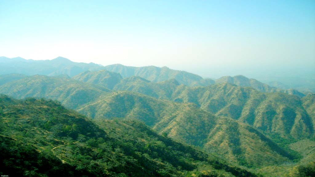 शाहाबाद वन में बिजली परियोजना पर रोक लगाने की मांग, अरावली समिति से पर्यावरण संगठन की अपील शाहाबाद वन में बिजली परियोजना पर रोक लगाने की मांग, अरावली समिति से पर्यावरण संगठन की अपील