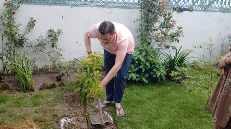 हरेला पर्व पर सीएम धामी ने किया पौधरोपण, पर्यावरण संरक्षण का दिया संदेश हरेला पर्व पर सीएम धामी ने किया पौधरोपण, पर्यावरण संरक्षण का दिया संदेश