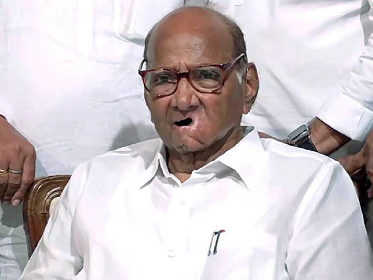 शरद पवार के सामने बीजेपी की शर्त! पहले NCP का विलय, फिर NDA में होगी एंट्री शरद पवार के सामने बीजेपी की शर्त! पहले NCP का विलय, फिर NDA में होगी एंट्री