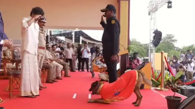 स्निफर डॉग ‘रॉकी’ ने मुख्यमंत्री विजय का किया अनोखा स्वागत, भावुक कर देने वाला वीडियो वायरल स्निफर डॉग ‘रॉकी’ ने मुख्यमंत्री विजय का किया अनोखा स्वागत, भावुक कर देने वाला वीडियो वायरल
