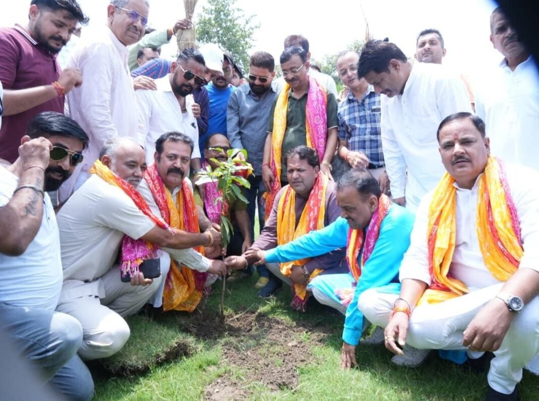 सावन में हरियाली का संदेश, बूथ स्तर तक पहुंचेंगे हजारों पौधे सावन में हरियाली का संदेश, बूथ स्तर तक पहुंचेंगे हजारों पौधे
