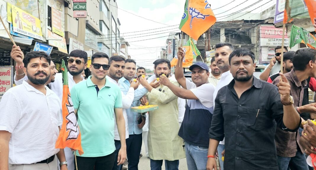 युवा आयोग की घोषणा पर भाजयुमो ने जताया आभार, आतिशबाजी कर मनाई खुशी युवा आयोग की घोषणा पर भाजयुमो ने जताया आभार, आतिशबाजी कर मनाई खुशी