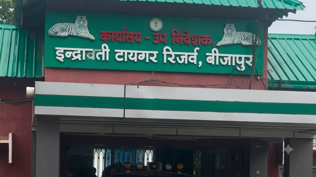 चार दशक बाद खुलेगा इंद्रावती टाइगर रिजर्व, 1 नवंबर से पर्यटकों को मिलेगा प्रवेश चार दशक बाद खुलेगा इंद्रावती टाइगर रिजर्व, 1 नवंबर से पर्यटकों को मिलेगा प्रवेश