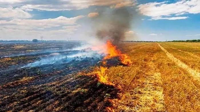 पराली जलाने पर अब और सख्ती, खेत 15 महीने तक रहेगा ‘रेड कैटेगरी’ में पराली जलाने पर अब और सख्ती, खेत 15 महीने तक रहेगा ‘रेड कैटेगरी’ में